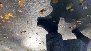 Настроение - осень?