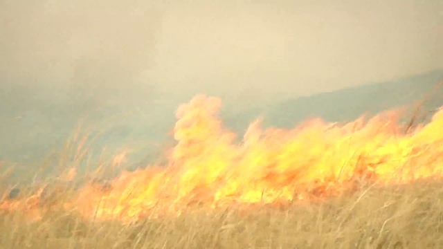 Линия огня. Даурский заповедник смотреть онлайн