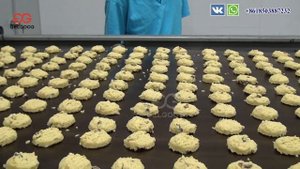 Печенье!Линия по производству печенья,машина для изготовления печенья.