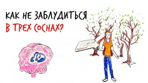 Как не заблудиться в трех соснах? — Научпок