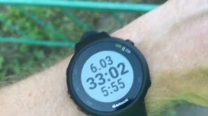 Спортивные часы Garmin Forerunner 45