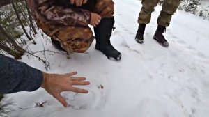 Креосан. Лучшее. Часть 2