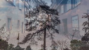 Прощай, Франция