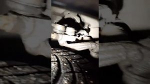 Как поймать кота!!!