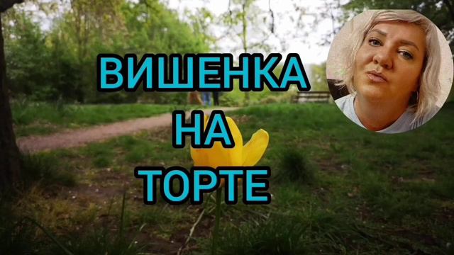 ДАЖЕ НЕКОМУ ЦВЕТОЧКИ ПОДАРИТЬ. ANYANASTYA LIFE. ОБЗОР.