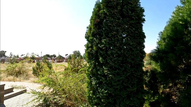 элиста  калмыкия