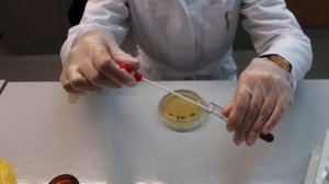 Посев тампоном открытым методом