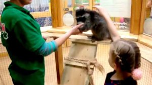Ручной ЗООПАРК | Тольятти ТРК "Парк Хаус" | The contact zoo