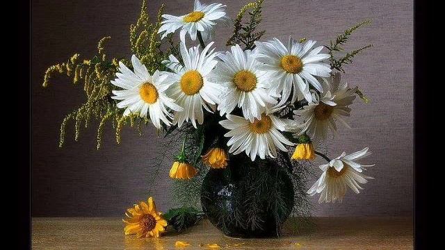 Натюрморты с цветами. смотреть онлайн