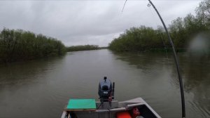 Чавыча река Большая июнь 2020