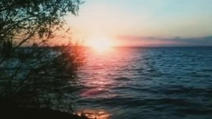 Переключился на РСП. История-Исповедь Димы. Максометр. Мужское Движение. Брак. ЗАГС.