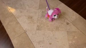 Gabby Boom и распаковка игрушки Собачка Fur Real Glamalots. Гламурная розовая собачка для девочек?