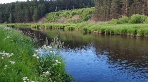 РЫБАЛКА РЕКИ УРАЛА. река РЕЖ ловим щуку на силикон