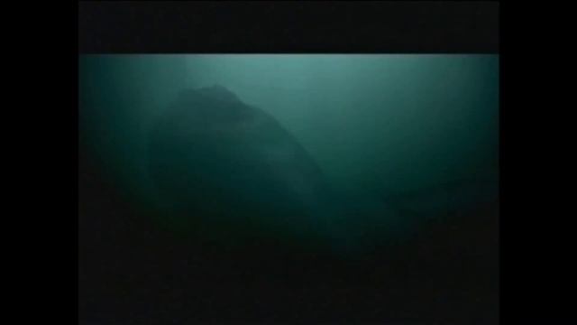 "Если что" - Александр Викторов смотреть онлайн