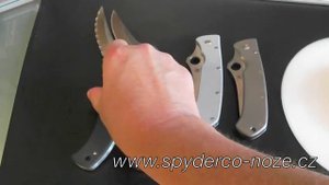 Spyderco Bob Lum and Massad Ayoob - Sprint Run / Originals