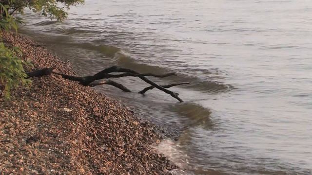 driftwood.m2t смотреть онлайн