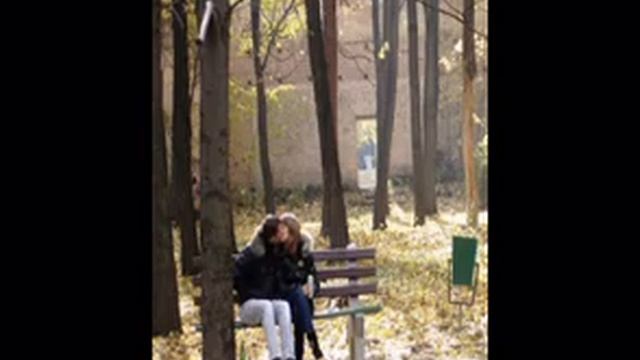 Старый лес.....mpg смотреть онлайн