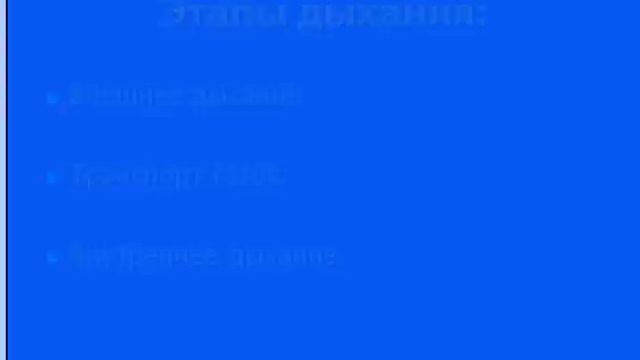 Дыхательная система человека и органы дыхания
