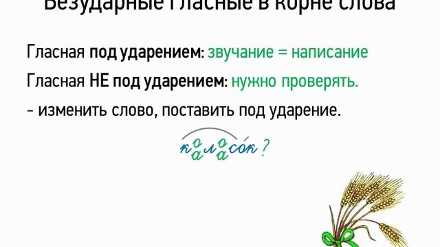 Правописание безударных гласных в корне слова.