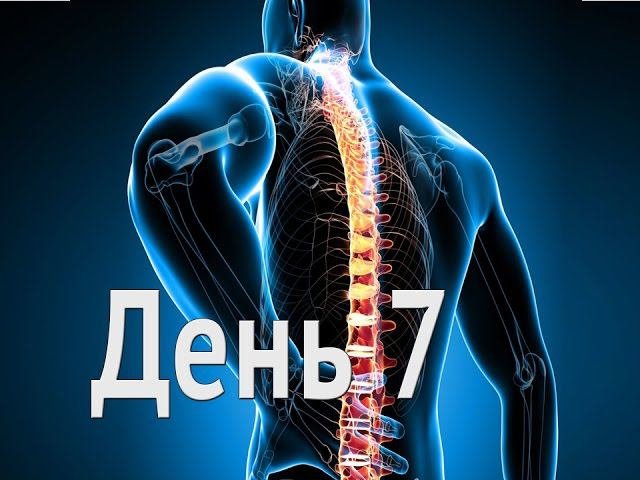 Оздоровительная программа - Здоровый позвоночник - День 7