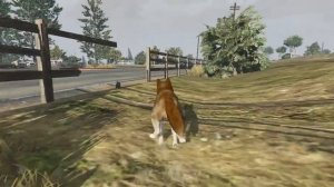 GTA V - Как Стать Хаски? [ЛОФОФОРЫ] #1