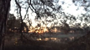 ??/ЗАГАДОЧНОЕ ПРОИСШЕСТВИЕ НА ОХОТЕ/ Случай в тайге/