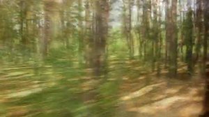 Детская железная дорога, г. Лиски, Воронежская область