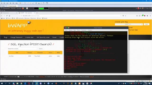 014 поиск SQL уязвимостей с помощью v3nom scanner