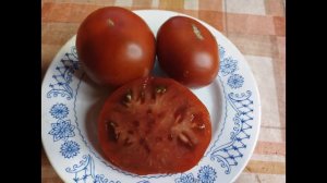 Часть 5 Коллекционные томаты. Каталог томатов на сезон 2023 года  43 сорта