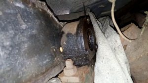 лучшая дробилка для яблок