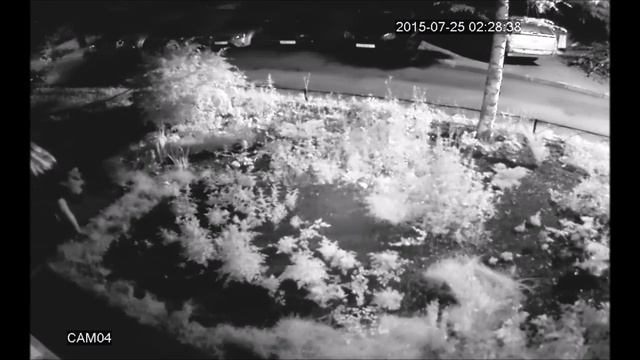 сучка крашена смотреть онлайн