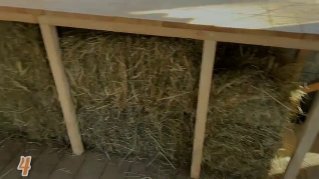 ЛИ СЯО. Алиса - Лиса. Какая каша? Где мясо? ТОП 10 смотреть онлайн