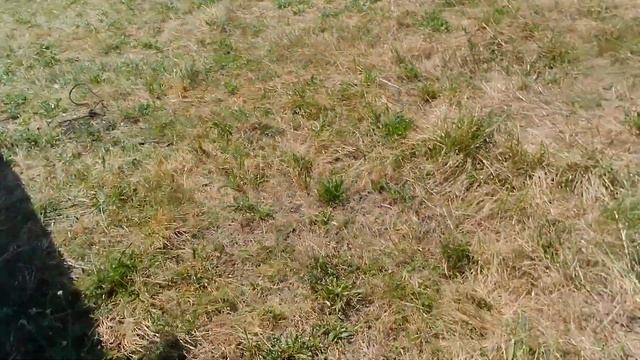 СБОР ВТОРСЫРЬЯ ПОСЛЕ РАБОТЫ, КВЕСТ Х-5