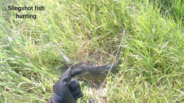 стрела в голову.рыбалка с рогаткой смотреть онлайн