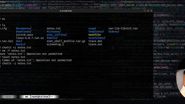 Linux command-line: Write-protect files/folders to avoid accidental deletion  even as root user