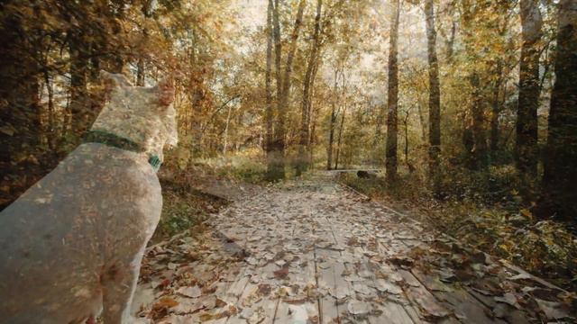 Красивейшая музыка !!! Закрыть глаза… и падать в Осень… и полюбить сезон дождей! смотреть онлайн