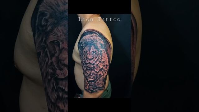 #liontattoo #lion #tattoo #done #blackandgrey #shortvideo #mospit #videos #shortvideo #shorts #vira