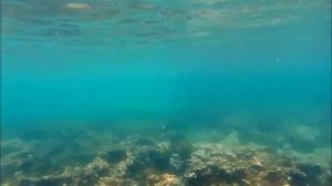 Archipiélago Las Perlas