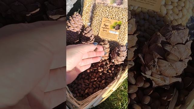 кедровый орех смотреть онлайн