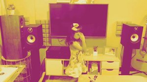 B&W 606 vs KEF Q350