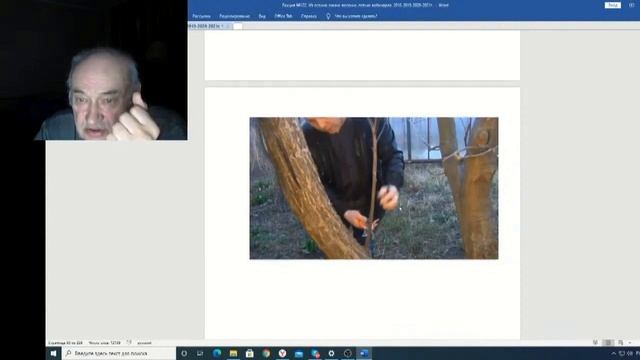 Железов Валерий Вебинар 122 ч 15 Ох уж этот прививочный секатор смотреть онлайн