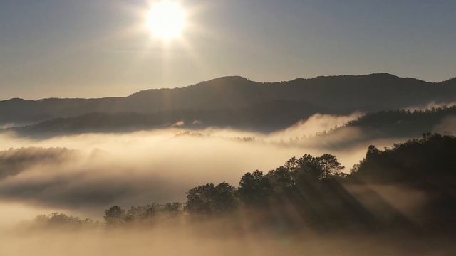 Господь, Ты мой покров - Елена Сальникова, Ной Синкала смотреть онлайн