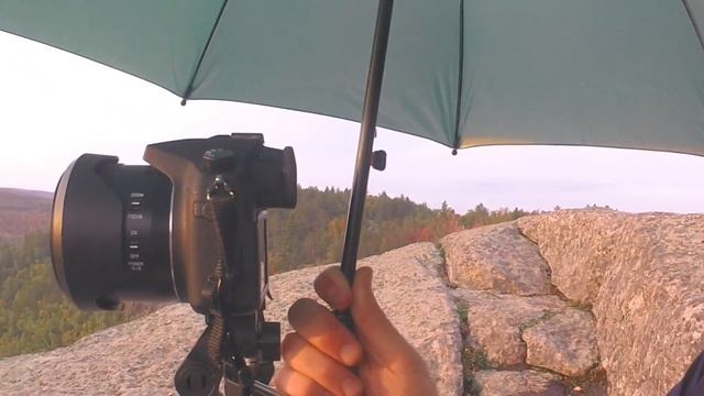 Panasonic LUMIX DMC-FZ1000 : My New Camera ! смотреть онлайн