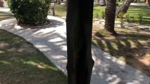 Венесуэла остров Коче