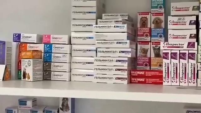 Сотрудники правоохранительных органов Удмуртии приняли участие в международной операции «Пангея»