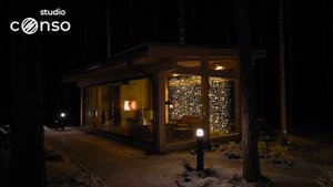 Яркий дом в п. Пески Ленинградской области