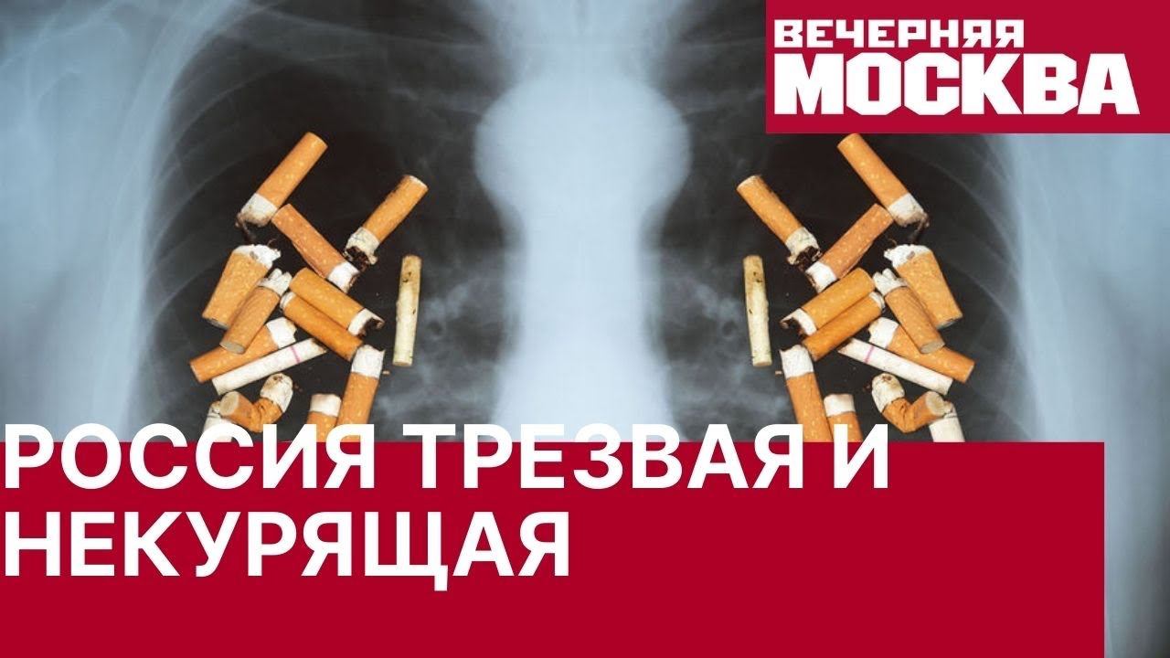 В Общественной палате предложили увеличить отпуск некурящим работникам