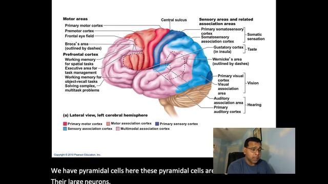 AnatomyCNSpartA смотреть онлайн