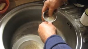 Заготовка семян огурца Кибрия F1