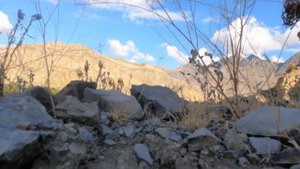 Горное село Чирката. Как живут люди в горах? Обзорная экскурсия.